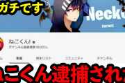 【ねこくん】Youtuberの本名をこんな事で知りたくなかった！逮捕で判明！