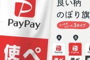 【画像】ぶっちゃけPayPay銀行やPayPayカード程度で騒いでる奴らって「浅い」よな・・・これ見てみ