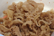 【画像】すまん、吉野家で牛丼（並）頼んで脂身を除去したらこんだけ残ったんやが