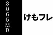 現行けものフレンズファン「けものフレンズ３は似たようなシステムのソシャゲの中ではぶっちぎりで必要容量が少ない」