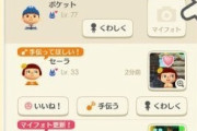 【ポケ森】マイフォトにツーショ載せてる人ってリアフレなんだと思ってたわ・・・【どうぶつの森 まとめ】
