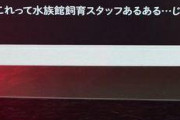 【画像】水族館スタッフ、一線を越える・・・・・・・・