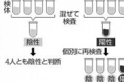 【コロナ】日本政府「プール方式」のPCR検査容認へ →複数人の検体を混ぜた結果が陰性なら全員陰性と判断