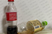 【警告】真夏の「飲み残しペットボトル」放置しておくと”こう”なる