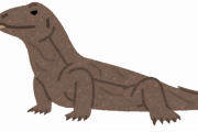 【画像】コモドドラゴンさん、とんでもない動きをしてしまうｗｗｗｗｗｗｗ