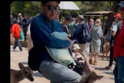 【画像】中国人、またもや奈良公園の鹿を暴行し炎上wwwwww