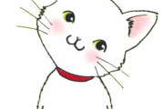 【驚愕】『シュレディンガーの猫理論』ってなんかおかしくないか？