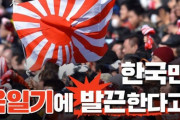 東京オリンピック旭日旗許容問題…韓国だけが旭日旗に怒っているのだろうか？＝韓国の反応
