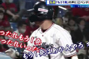 ヤクルト村上の死球を巡り横浜DeNAと“遺恨”発生？！「当ててもいいんだぞ」「黙れ！」飛び交う罵声  　9/13