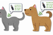 【ペット】犬や猫にマイクロチップ装着義務化へ 概要が明らかに