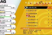【ポケモン剣盾】やっぱり気になる「バッグ（アイテム画面）」の使いづらさ　フリースペースは残してほしかった