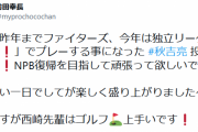 ノンテンダー秋吉亮、独立リーグ福井ネクサスエレファンツ入りへ