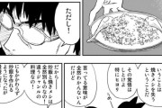 チャーハンを作れるようになるということは焼き飯を失うということ