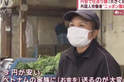 【群馬】ほうれんそう農家「助けて！オーストラリアの賃金が日本の２倍な上に円安で外国人技能実習生を取られちゃって仕事が回りません！日本政府は円高にしろ！！！」