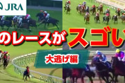 逃げ馬のレースって見てても面白くないよな