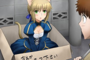 【FGO】猫セイバーさんを拾う士郎！！　これは運命に出会ってますわ！