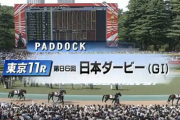 パドックや返し馬等を見て「これは来るぞ」と直感した馬