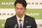 【コメ】小泉農水相　備蓄米が尽きた場合、外国産米の緊急輸入を検討…農家の経営危機について「セーフティーネット作り」に持論も