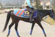 【競馬】ホッコータルマエが今年限りで現役引退、種牡馬入りへ