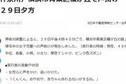 おっさん「くんくん、おやおや、赤ちゃん作れるいい匂いがするね」←下校中の小学2年生女児に声掛けｗｗｗｗｗｗｗｗ