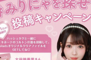 【＝LOVE #大谷映美里】ドンキでみりにゃを探せ！