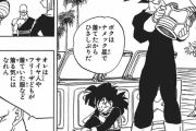 ベジータ「その戦闘服はとてもよく伸びる。地球で俺が大猿になっても破れなかっただろう」 ←これ