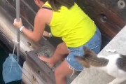 見守る母猫。旅行中に溺れかけていた子猫を救った女性のGJ動画。