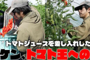 松山ケンイチ、家庭菜園で約40キロのトマト収穫「おいしそうだなー」「いい顔してる!!」 トマト栽培を始めたきっかけ明かし「ステキすぎます」と反響