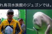 【沖縄】ジュゴン死因は「エイのとげ」、辺野古工事の冤罪確定