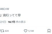 【悲報】みいちゃんミーム、完全にネットで定着する。もう終わりだよｗｗｗｗ