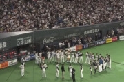 なんGに現れたハムファンの現地観戦試合、驚異の勝率ｗｗｗｗｗｗｗｗ