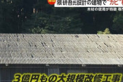 隈研吾氏設計の市庁舎にサビなどの腐食　修繕費用を設計事務所と施工業者で負担することを協議