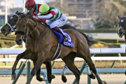 【実力か斤量差か】3歳で有馬記念を勝った馬は名馬