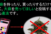 【悲報】警視庁「インターネットで「野菜 手押し」と書くと取り返しのつかない事になります！」