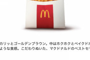 【悲報】マクドナルドのポテトL190円クーポン　ガチで消滅