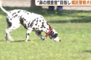 【朗報】嘱託警察犬の審査会、ダルメシアンが初の合格