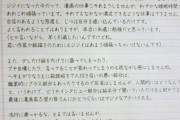 【朗報】鳥山明さん、ガチで反省するｗｗｗｗｗｗｗｗｗｗｗｗｗ