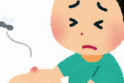 1番蚊に刺されて痒い場所