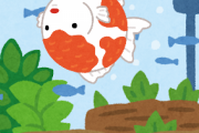 金魚が転覆病っぽいんだがどうすりゃいい？