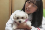 【STU48 #今村美月】みちゅさん、深夜2時半に巫女の格好で配信を始める?