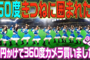 【朗報】日ハム、きつねダンスの「360度ver」をアップロード