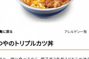 【朗報】？？？「牛丼、親子丼、かつ丼、全て合体させたらどうなるんやろ…？🤔」