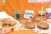 【終国】俺たちのマクドナルドさん、値上げを決行…ハンバーガーは30円アップ←マジか?