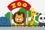 【悲報】お一人様ワイ、動物園に入ろうとするも家族連れしかおらず泣く( ；∀；)