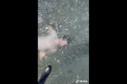 【動画】氷の下で潜水し、出口を見失った男の末路…