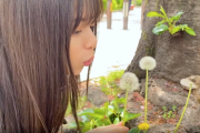 【乃木坂46】たんぽぽの綿毛飛ばす飛鳥ちゃんｶﾜ(・∀・)ｲｲ!!