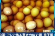 【悲報】中国人「…せや！男の子のオシッコでゆで卵作ったらどうだろう？！」