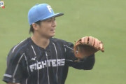 日ハム上川畑の守備、今年も神ｗｗｗｗｗｗ