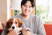【速報】大谷翔平の犬の名前「デコピン」