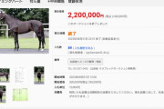 キーファーズがセレクトセール2億円馬をサラブレッドオークションに出品！　242万円で落札されるw